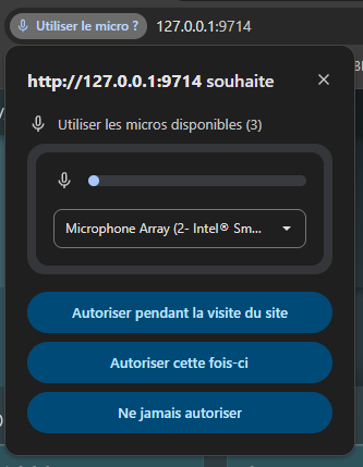 ../assets/autoriser_micro.png