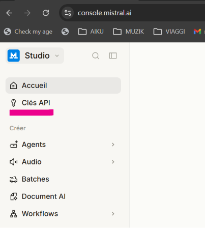 ../assets/mistral_api_key.png